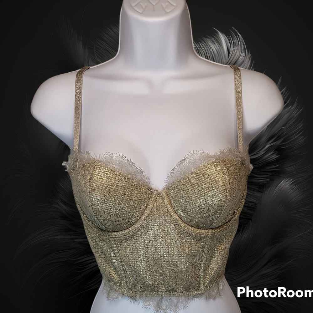 Victoria's Secret Intimates Dream Angel's Metallic Corset Multiway Bustier 34B
